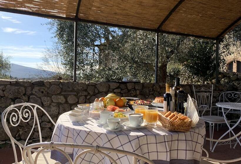 آپارتمان 3 خوابه, Fattoria Lornano Winery