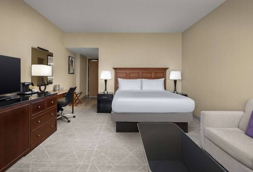 Habitació Estàndard, Doubletree By Hilton Chicago O Hare Airport  Rosemont