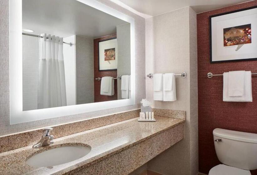适用于残疾人士的豪华房间, Fairfield Inn & Suites By Marriott Washington Downtown