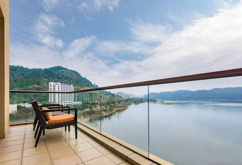 اتاق استاندارد با تخت بزرگ, Hilton Nicosia