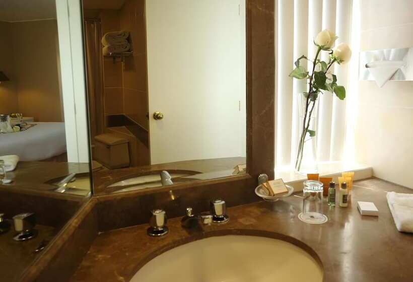 Полулюкс Кровать Кинг, Suites Del Bosque