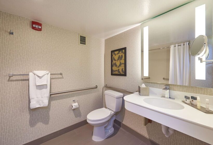 Номер Стандарт Кровать Кинг Адаптированный для Инвалидов, Doubletree By Hilton Fresno Convention Center