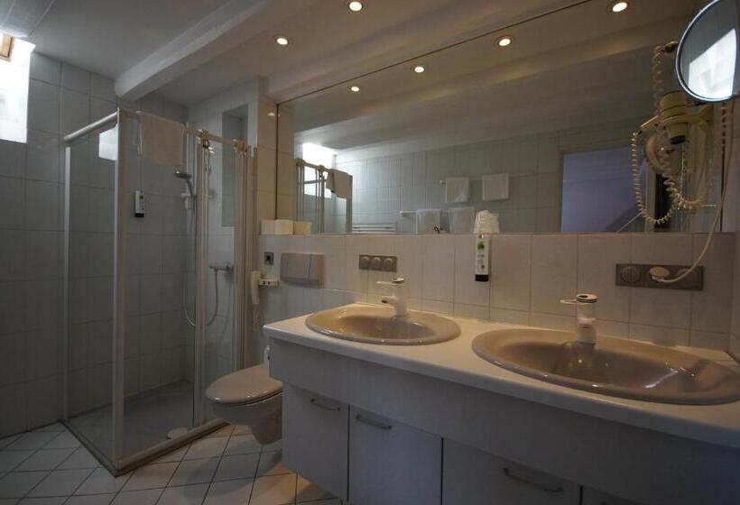 带1个卧室的豪华公寓, Aparthotel Stibbe
