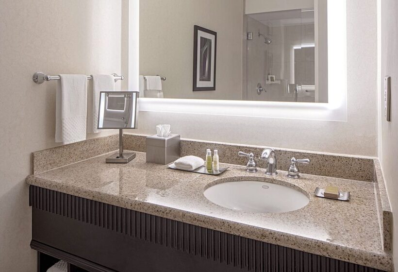 침실 1개 아파트, Doubletree Suites By Hilton Minneapolis Downtown
