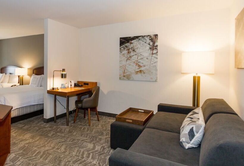 Люкс, Springhill Suites By Marriott Tampa Westshore