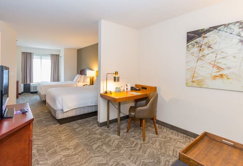 Люкс Адаптированный для Инвалидов, Springhill Suites By Marriott Tampa Westshore