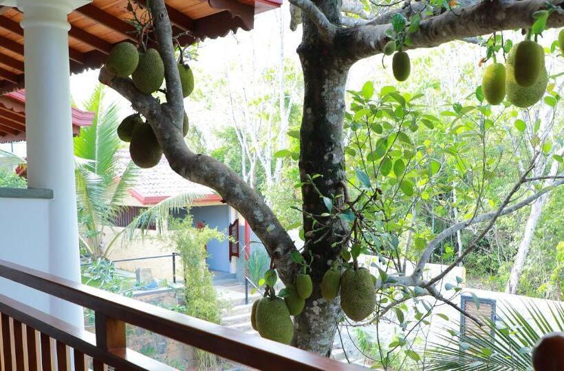 Номер Стандарт с Балконом, Terrace Garden Ayurveda Resort