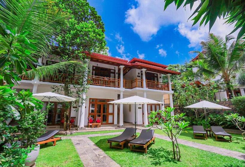 Одноместный Номер Вид на Сад, Terrace Garden Ayurveda Resort
