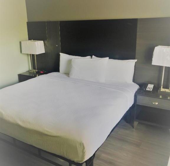Quarto Standard Cama King, Surestay Hotel By Best Western Conway