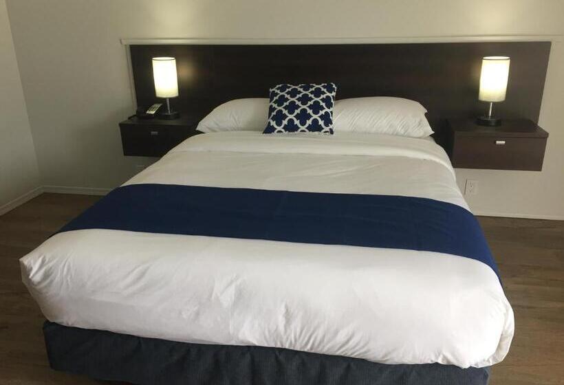 标准间, Humpback Inn