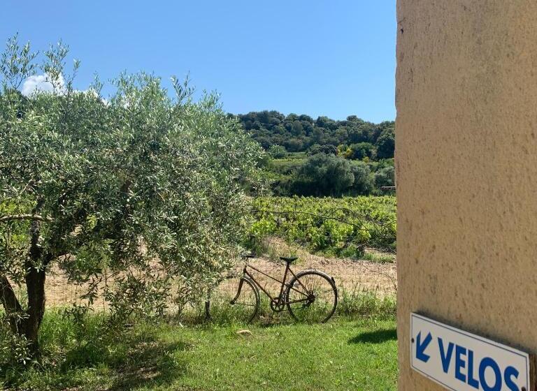 Одноместный Номер Вид на Сад, Domaine La Condamine Crillon Le Brave