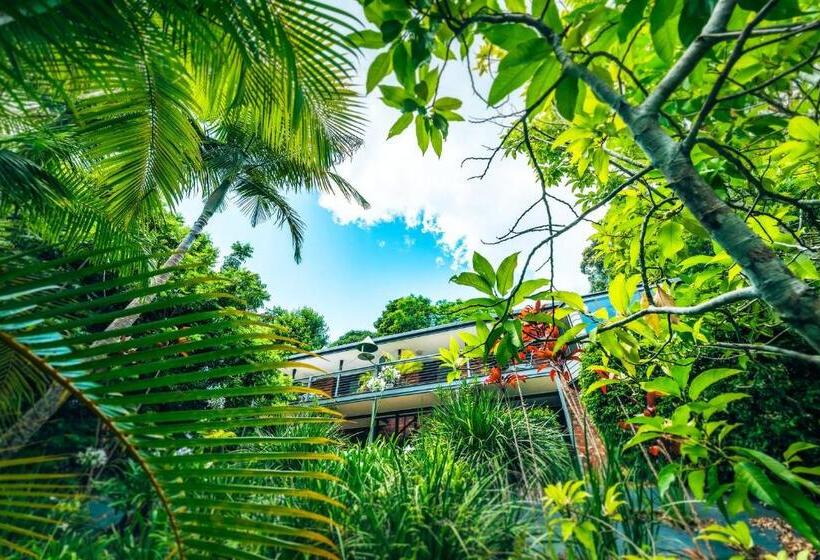 Дом 2 Спальни, Bella Vista Bellingen
