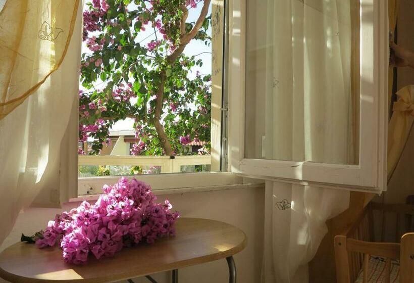 Номер Стандарт, Casamare