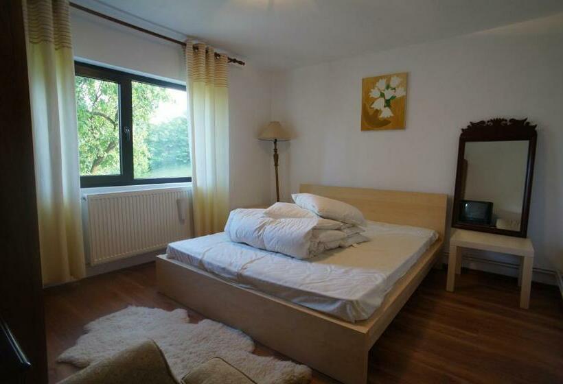 스탠다드 룸, Casa Paltinu