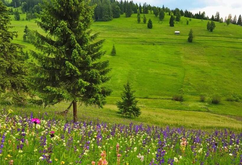 آپارتمان 1 خوابه با بالکن, Lörincz Vendégház