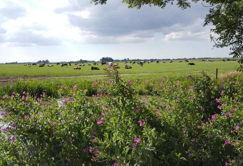 Люкс Кровать Кинг, Bed & Breakfast De Koegang