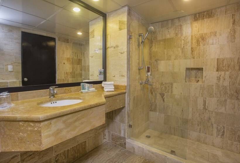 اتاق سوپریور با تخت بزرگ, Viva Dominicus Palace By Wyndham, A Trademark All Inclusive