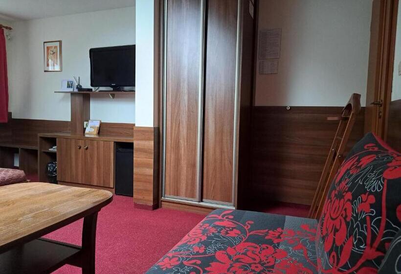 Номер Стандарт, Penzion Kozak B&b