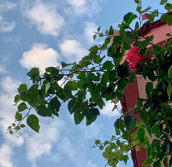 آپارتمان 1 خوابه همکف, Rooms Kuljic