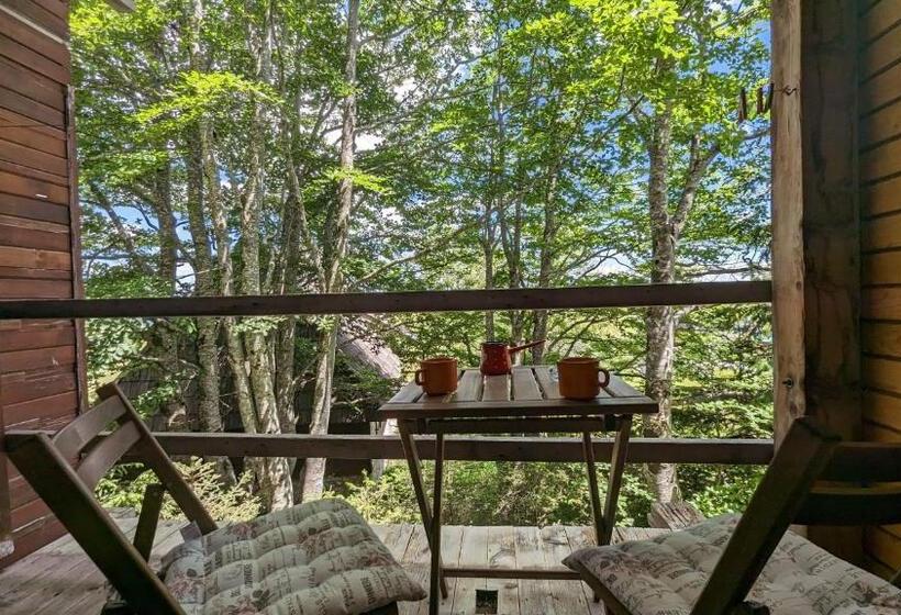 آپارتمان 1 خوابه, Apartments Nikcevic Zabljak