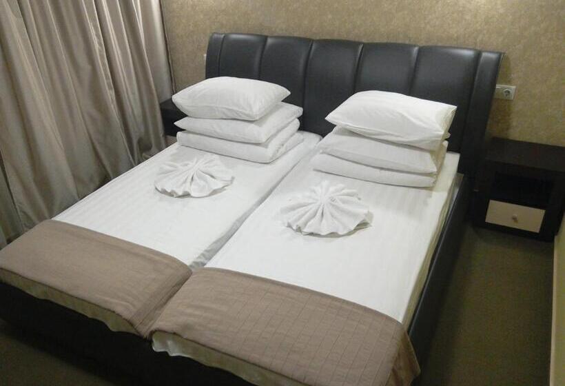 اتاق استاندارد با چشم‌انداز شهر, Guest House At Lesya Ukrainka