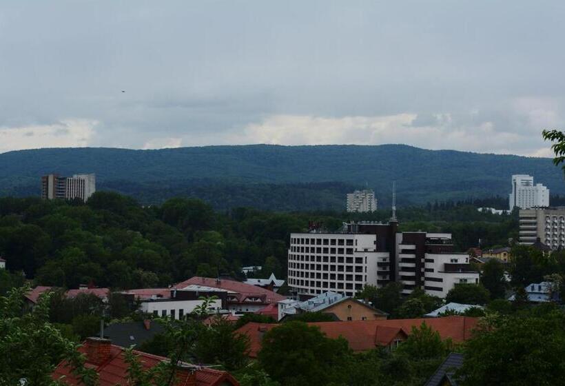 اتاق لوکس, Guest House At Lesya Ukrainka