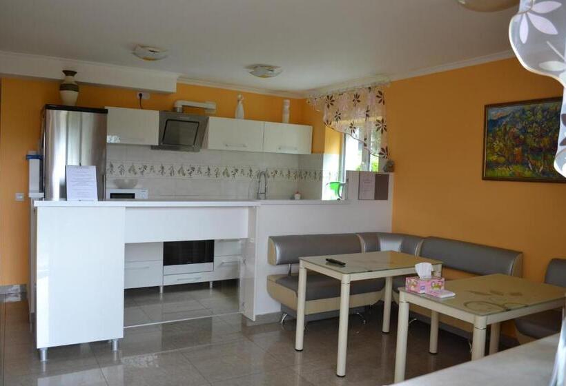 اتاق استاندارد با چشم‌انداز کوهستان, Guest House At Lesya Ukrainka