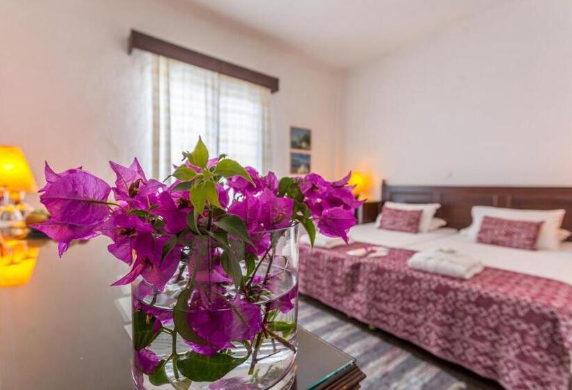 Номер Стандарт Вид на Сад, Agionissi Resort