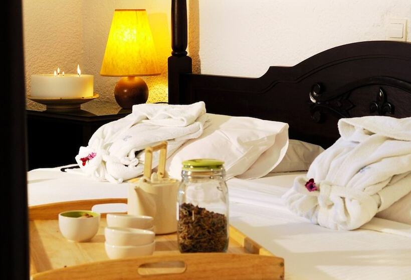 스탠다드 룸 바다 전망, Agionissi Resort