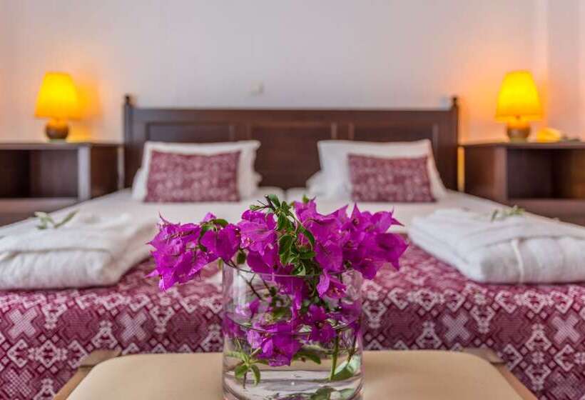 스탠다드 룸, Agionissi Resort
