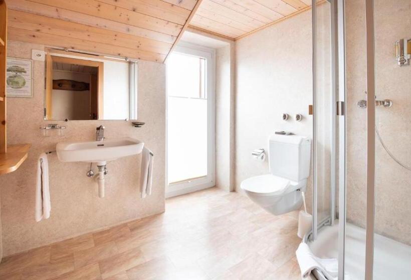 Comfort room with mountain view, Suisse