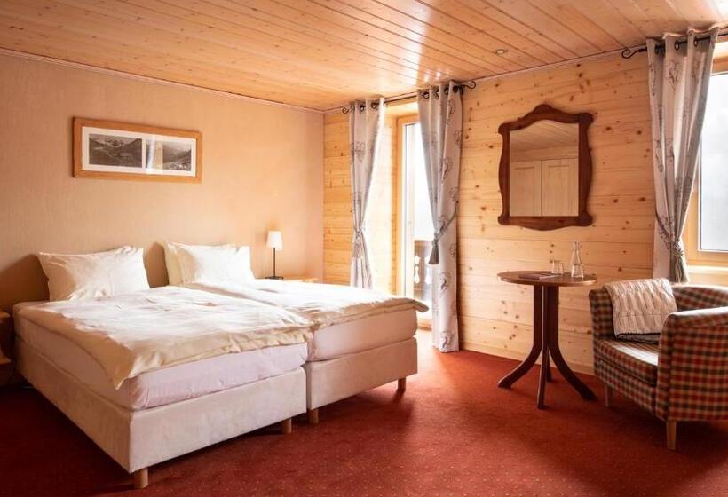 Hegyre Néző Deluxe Szoba, Suisse