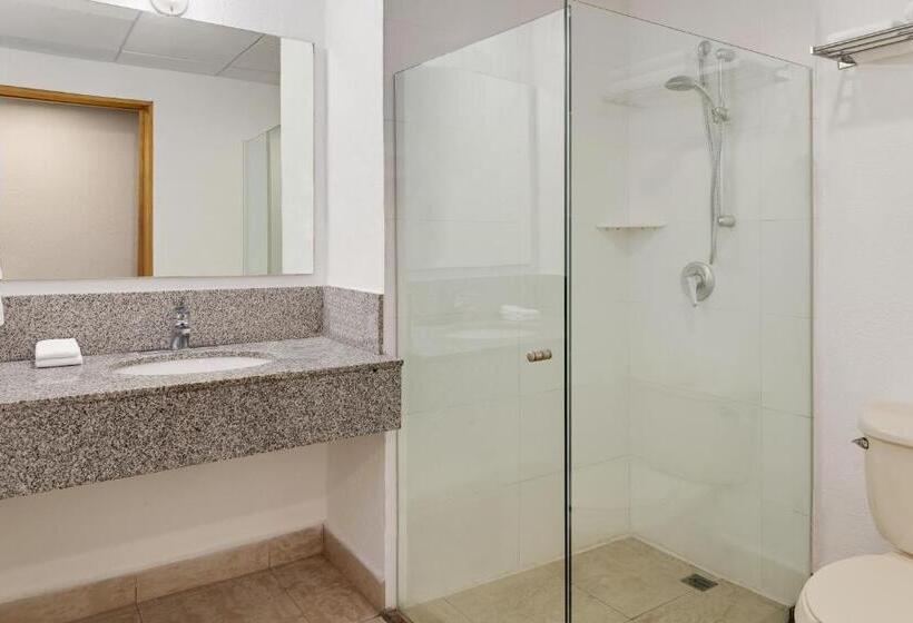 带2个双人床的标准工作室, Monterrey Macroplaza