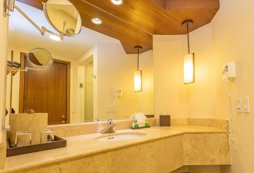디럭스 룸 바다 전망, Royal Solaris Los Cabos  All Inclusive