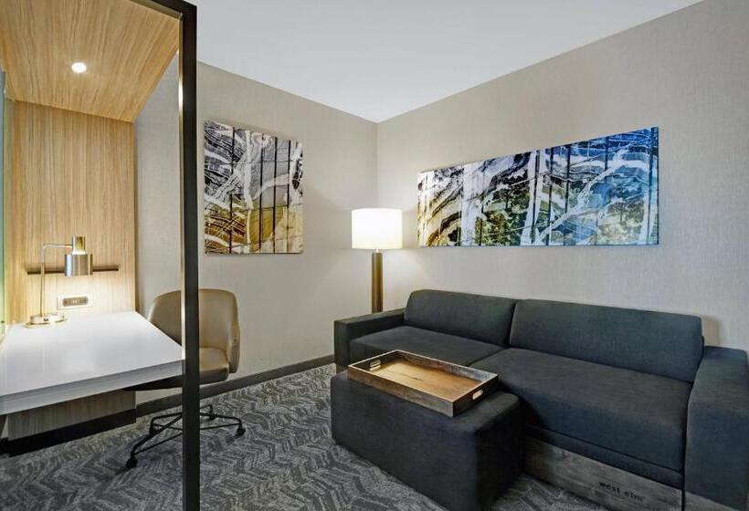 스위트 킹사이즈 침대, Springhill Suites By Marriott St. Paul Arden Hills