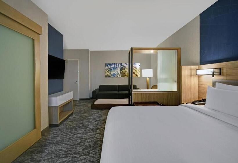 스위트 킹사이즈 침대, Springhill Suites By Marriott St. Paul Arden Hills