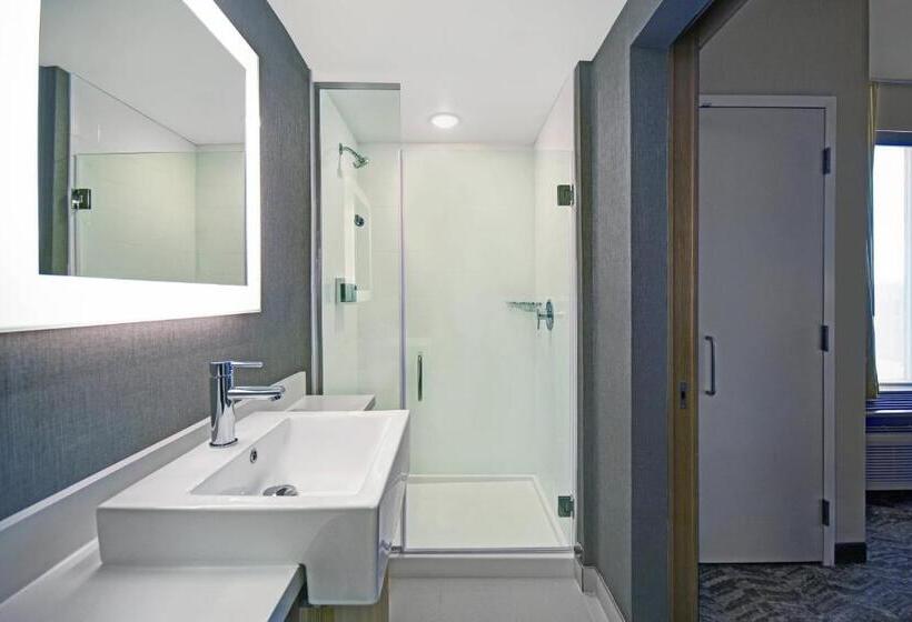 스위트, Springhill Suites By Marriott St. Paul Arden Hills