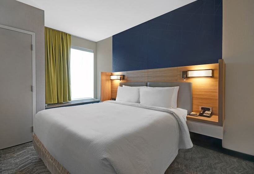 스위트, Springhill Suites By Marriott St. Paul Arden Hills