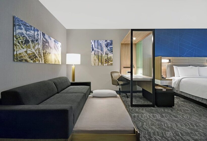 스위트, Springhill Suites By Marriott St. Paul Arden Hills