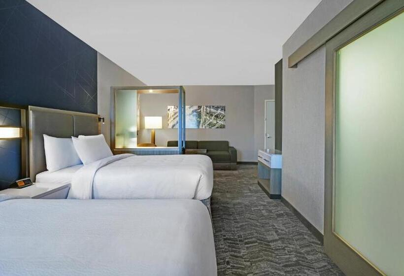 스위트, Springhill Suites By Marriott St. Paul Arden Hills