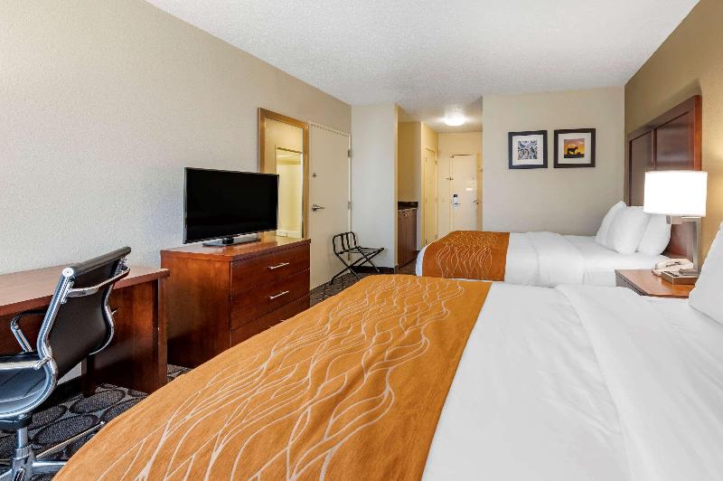 Номер Стандарт, Comfort Inn Airport Turfway Road