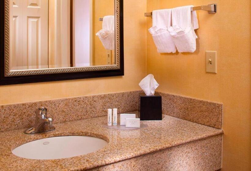 스탠다드 룸, Courtyard By Marriott Baton Rouge Acadian Centre/lsu Area