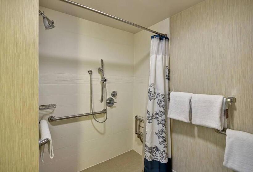 Люкс 2 Спальни, Residence Inn Lexington South Hamburg Place