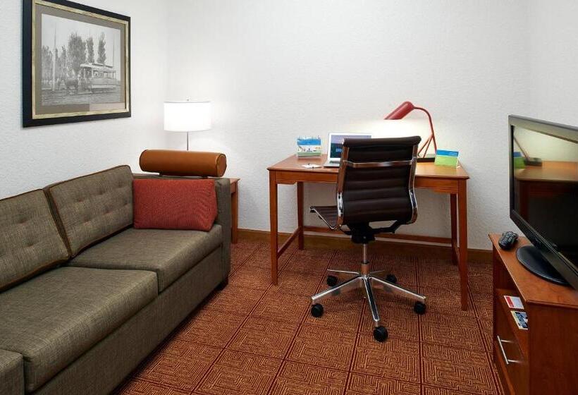 스탠다드 스튜디오 더블 침대, Towneplace Suites By Marriott Minneapolis Downtown/north Loop