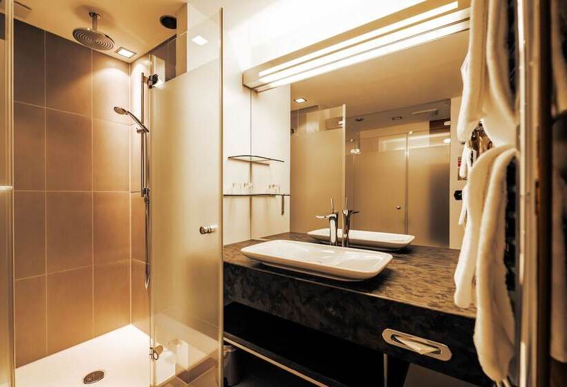이코노미 룸, Steiger Hotel Elbschlösschen Rathen