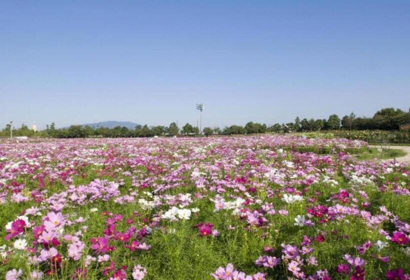 스탠다드 스튜디오, Kuwana Park