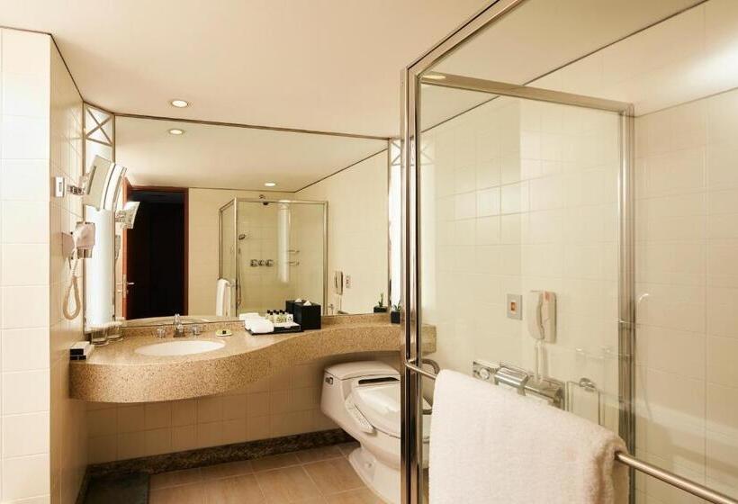 Классический Номер с Видом, Intercontinental Seoul Coex, An Ihg