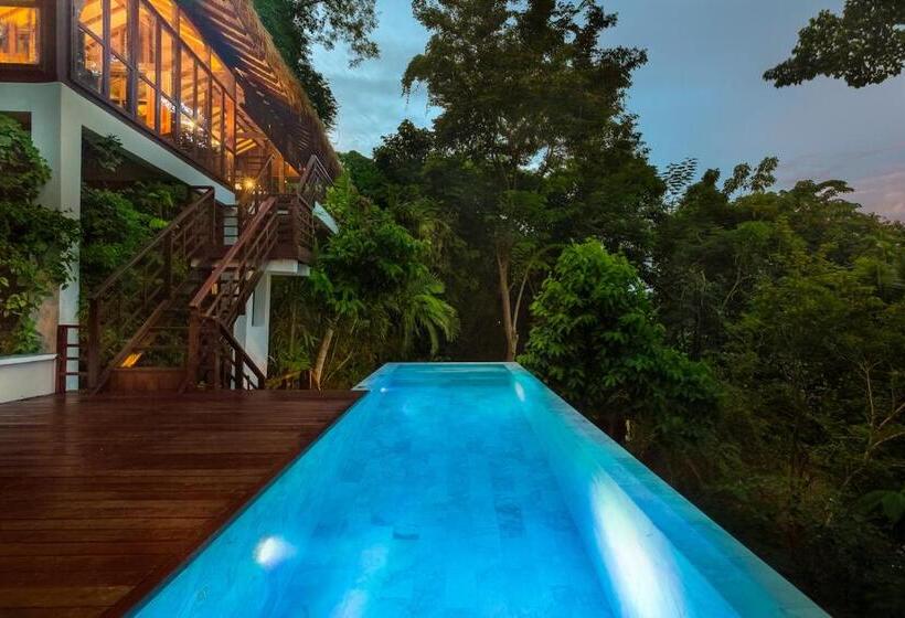 Вилла с 1 спальней и бассейном, Zeavola Resort