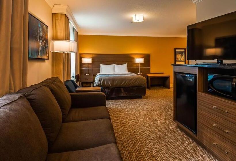 キングサイズベッドのスタンダードルーム, Best Western Paradise