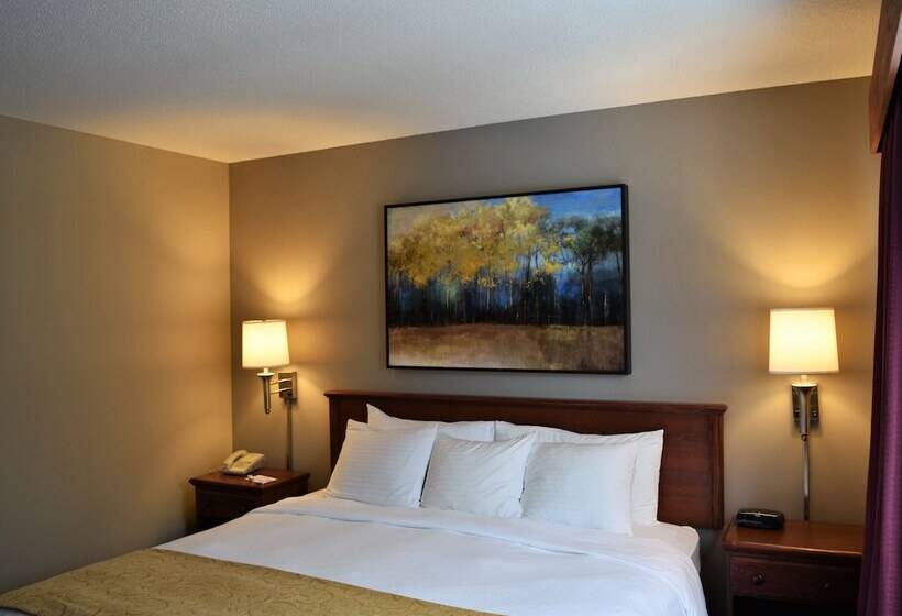 Люкс, Country Inn River Falls